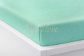 przescieradlo jersey 160x200 mietowe z gumka.webp